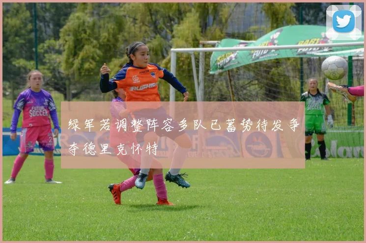 绿军若调整阵容多队已蓄势待发争夺德里克怀特
