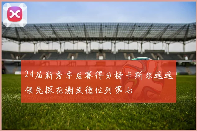 24届新秀季后赛得分榜卡斯尔遥遥领先探花谢泼德位列第七